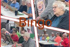 Bingo